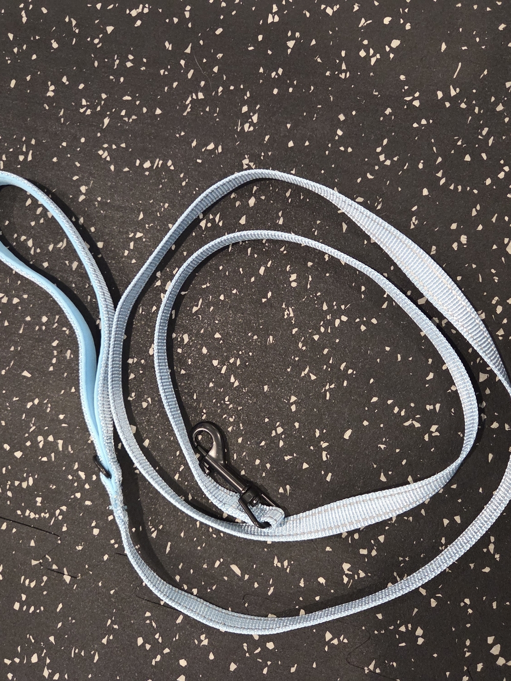 Light Blue Dog Leash – Lightweight Nylon Lead